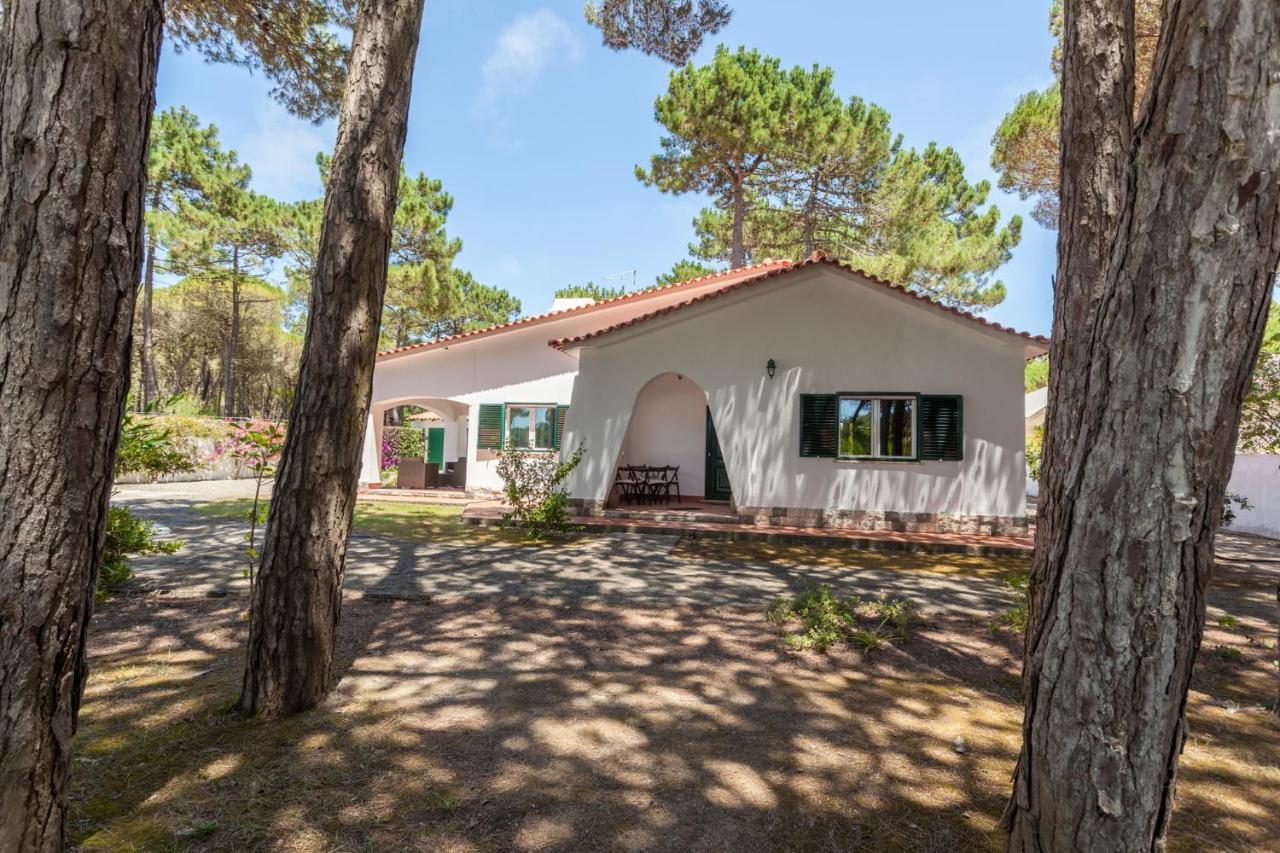 Willa Ocean, Pines And Mountain - Renovated February 2025 - Ac Colares Zewnętrze zdjęcie