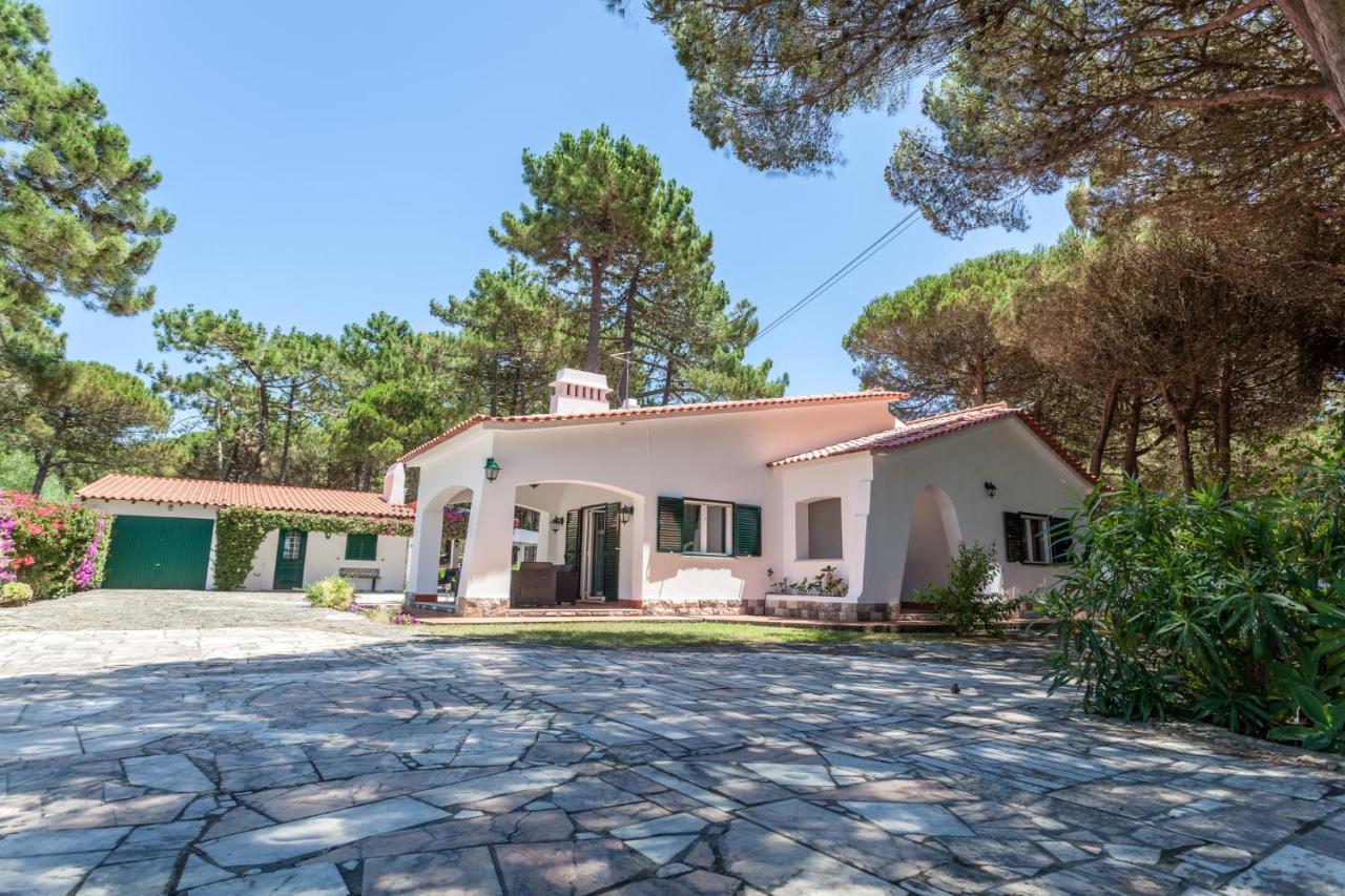 Willa Ocean, Pines And Mountain - Renovated February 2025 - Ac Colares Zewnętrze zdjęcie
