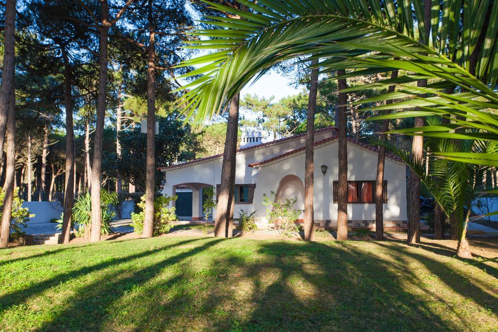 Willa Ocean, Pines And Mountain - Renovated February 2025 - Ac Colares Zewnętrze zdjęcie