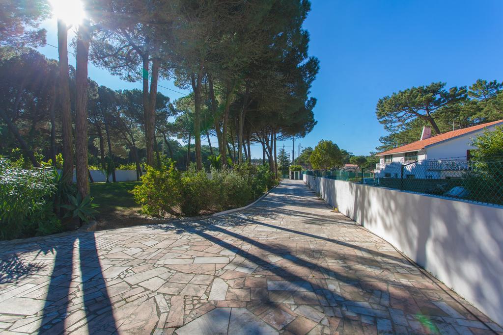 Willa Ocean, Pines And Mountain - Renovated February 2025 - Ac Colares Zewnętrze zdjęcie